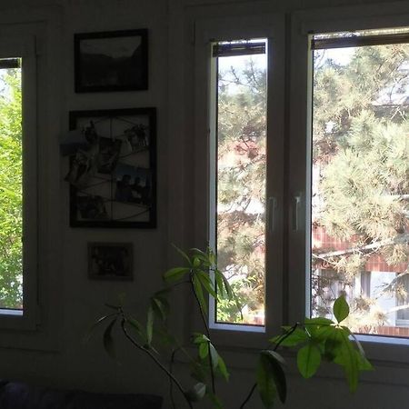 Apartament 15 Min Zum Zentrum Wiedeń Zewnętrze zdjęcie