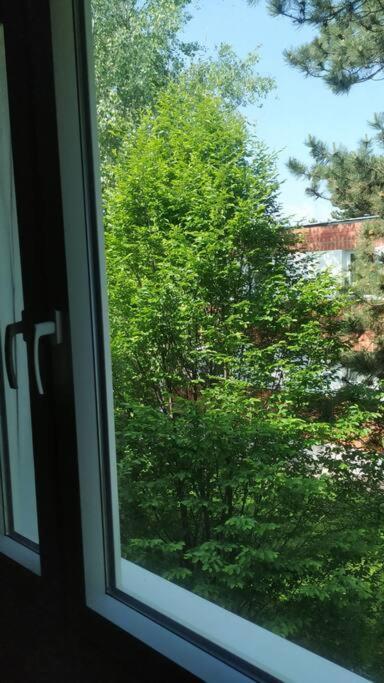 Apartament 15 Min Zum Zentrum Wiedeń Zewnętrze zdjęcie